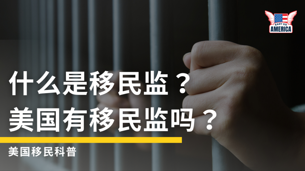什么是移民监
